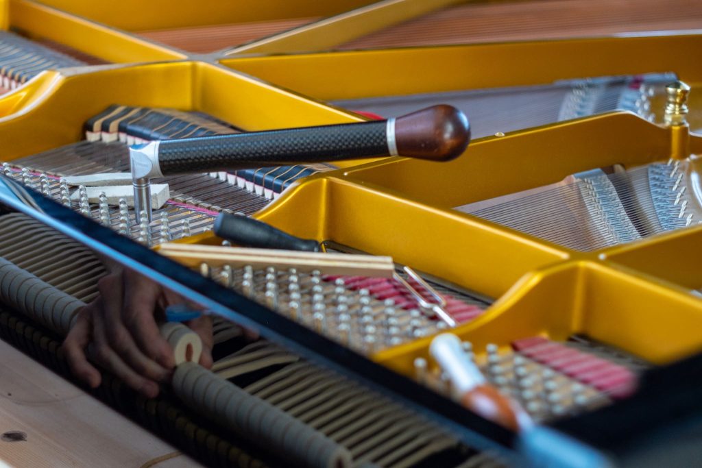 Foto_Matej_Tomazin_DSF4300