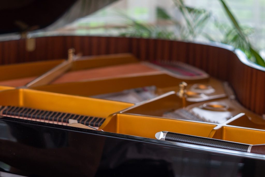 Foto_Matej_Tomazin_DSF4513