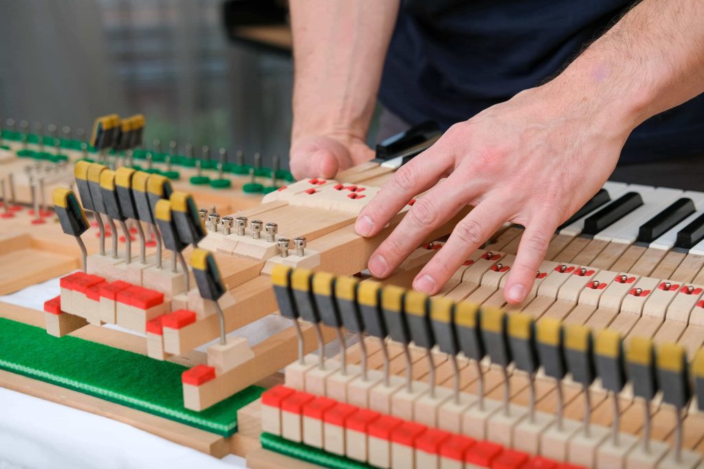 Foto- Matej Tomažin-102