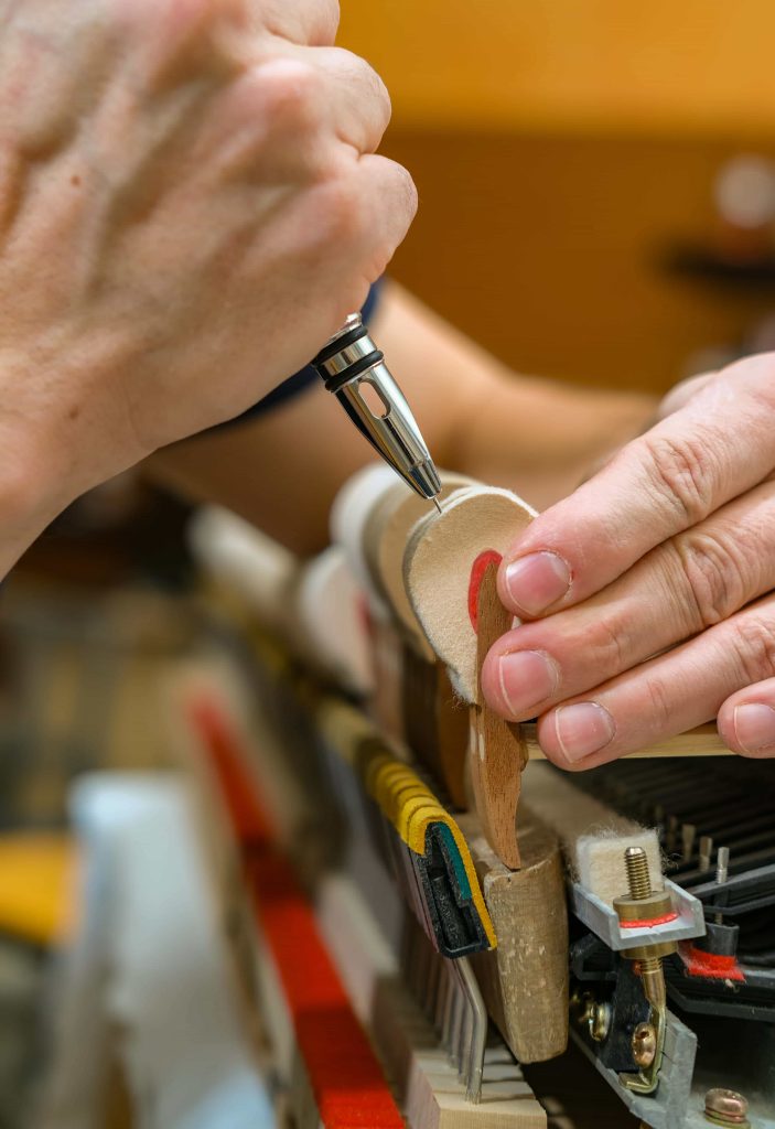 Foto- Matej Tomažin-220